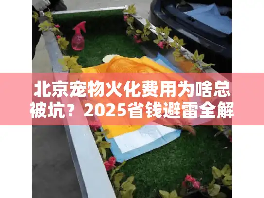 北京宠物火化费用为啥总被坑？2025省钱避雷全解析