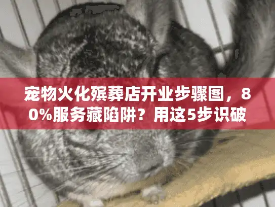宠物火化殡葬店开业步骤图，80%服务藏陷阱？用这5步识破真相