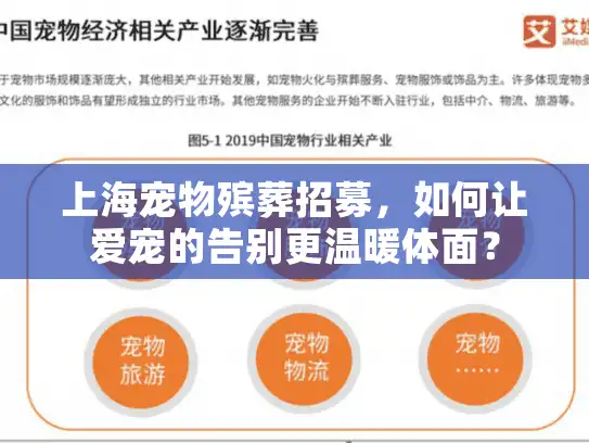 上海宠物殡葬招募，如何让爱宠的告别更温暖体面？