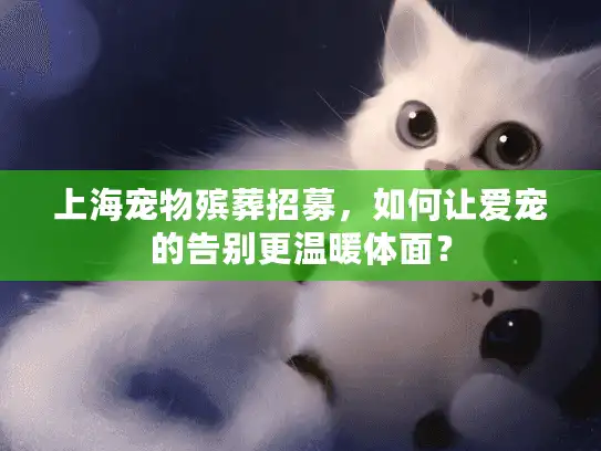 上海宠物殡葬招募，如何让爱宠的告别更温暖体面？