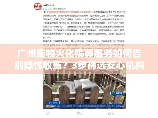 广州宠物火化殡葬服务如何告别隐性收费？3步筛选安心机构