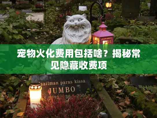 宠物火化费用包括啥？揭秘常见隐藏收费项