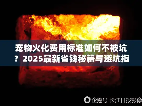 宠物火化费用标准如何不被坑？2025最新省钱秘籍与避坑指南