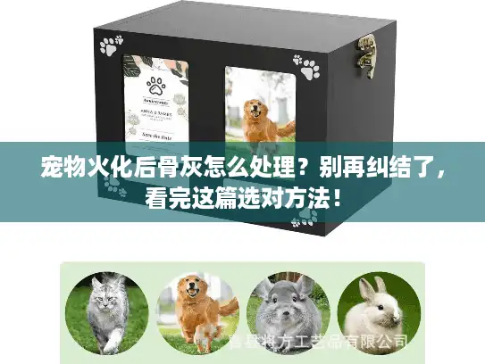 宠物火化后骨灰怎么处理？别再纠结了，看完这篇选对方法！
