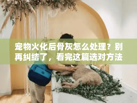 宠物火化后骨灰怎么处理？别再纠结了，看完这篇选对方法！