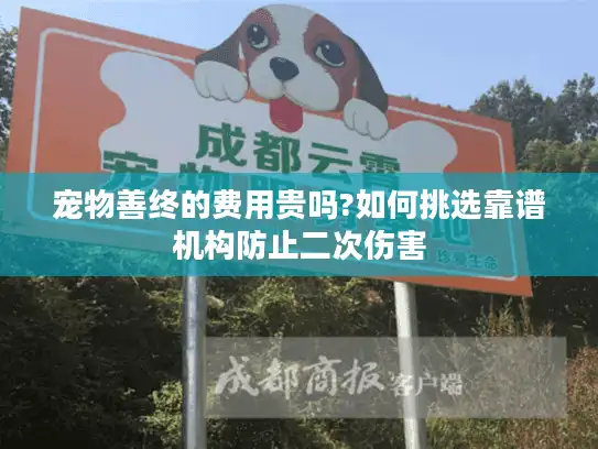 宠物善终的费用贵吗?如何挑选靠谱机构防止二次伤害