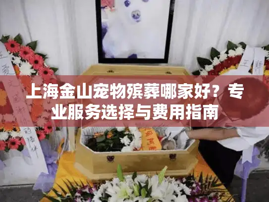 上海金山宠物殡葬哪家好？专业服务选择与费用指南