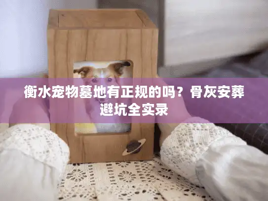 衡水宠物墓地有正规的吗？骨灰安葬避坑全实录