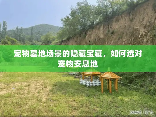宠物墓地场景的隐藏宝藏，如何选对宠物安息地