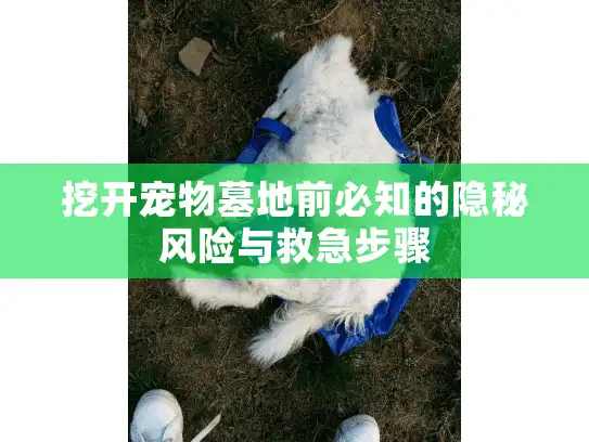 挖开宠物墓地前必知的隐秘风险与救急步骤