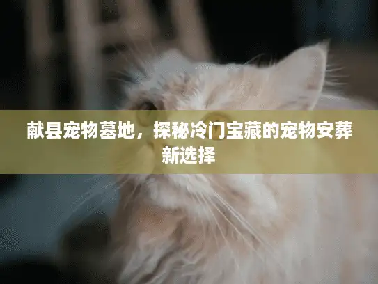 献县宠物墓地，探秘冷门宝藏的宠物安葬新选择