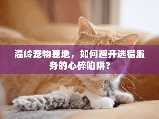 温岭宠物墓地，如何避开选错服务的心碎陷阱？