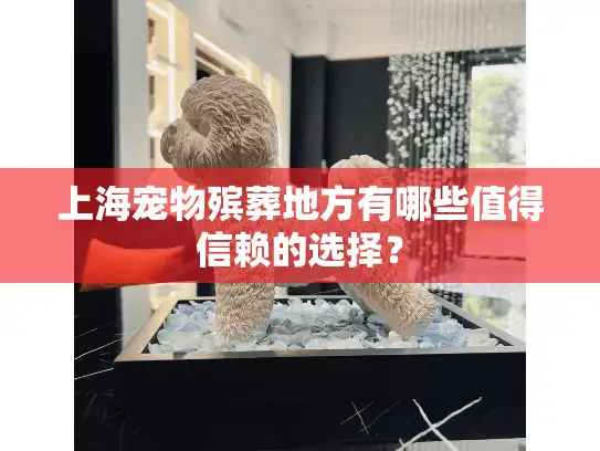 上海宠物殡葬地方有哪些值得信赖的选择？