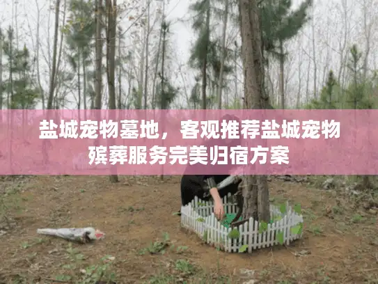 盐城宠物墓地，客观推荐盐城宠物殡葬服务完美归宿方案