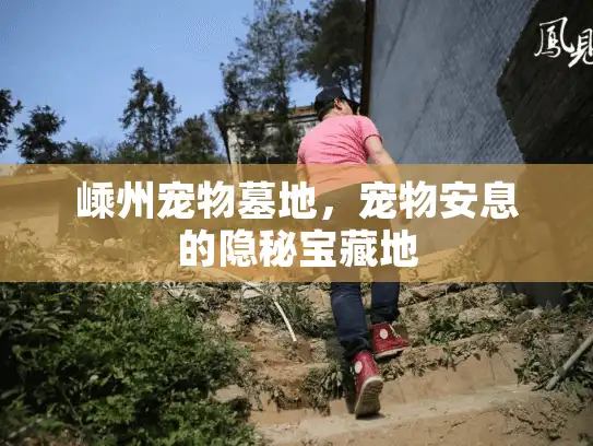 嵊州宠物墓地，宠物安息的隐秘宝藏地