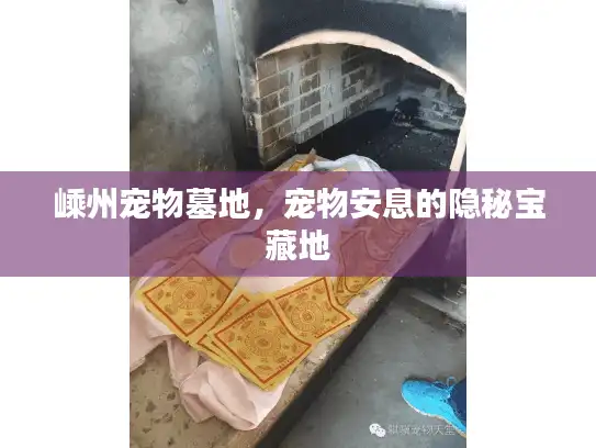 嵊州宠物墓地，宠物安息的隐秘宝藏地