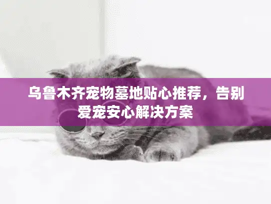 乌鲁木齐宠物墓地贴心推荐，告别爱宠安心解决方案