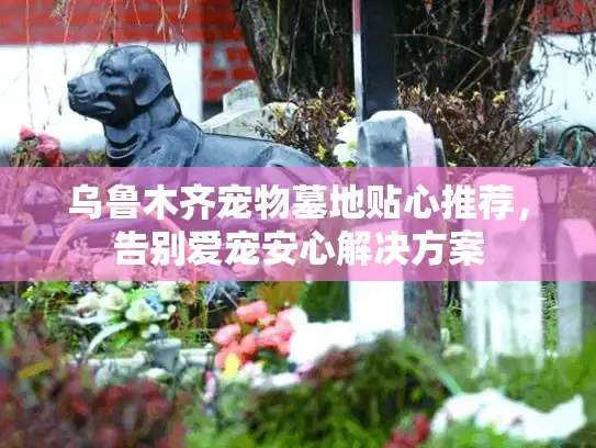 乌鲁木齐宠物墓地贴心推荐，告别爱宠安心解决方案