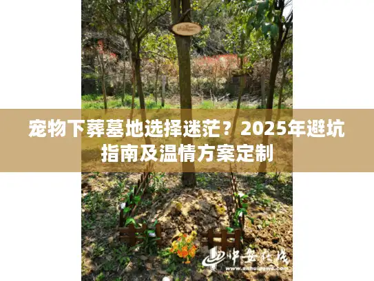 宠物下葬墓地选择迷茫？2025年避坑指南及温情方案定制