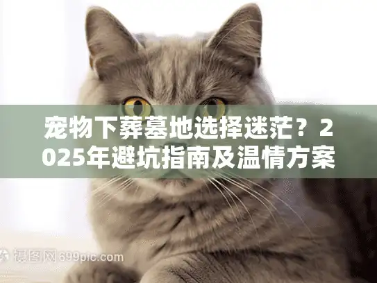 宠物下葬墓地选择迷茫？2025年避坑指南及温情方案定制