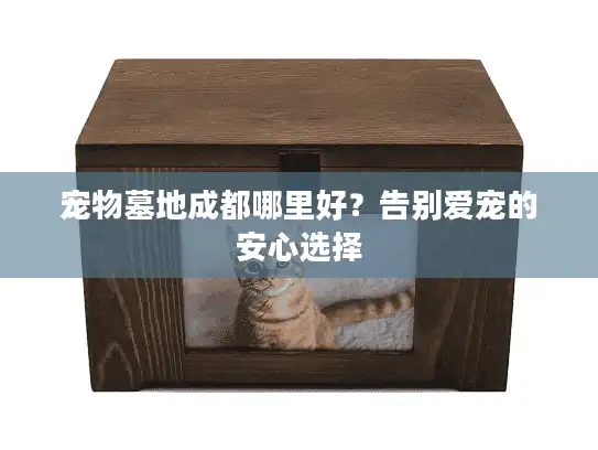 宠物墓地成都哪里好？告别爱宠的安心选择