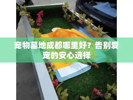 宠物墓地成都哪里好？告别爱宠的安心选择