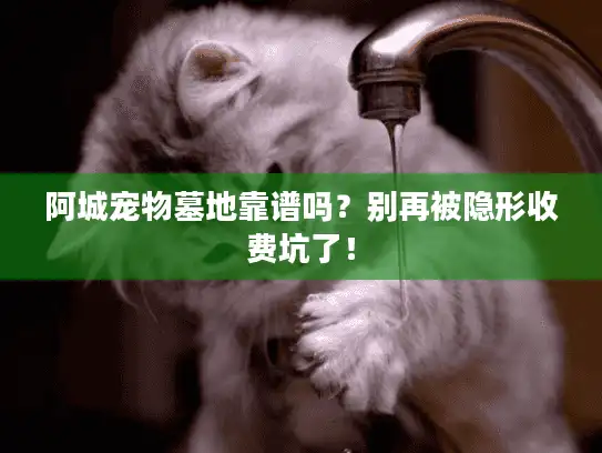阿城宠物墓地靠谱吗？别再被隐形收费坑了！