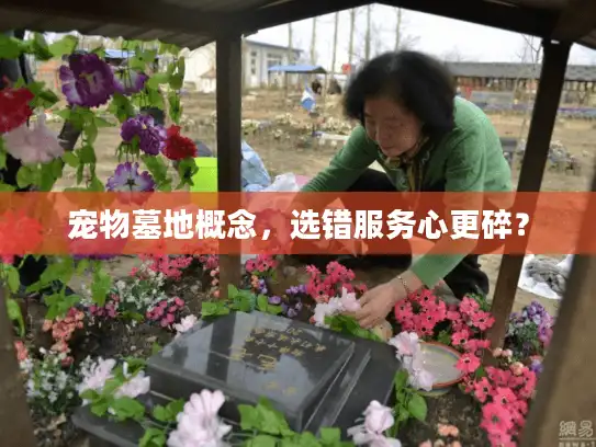 宠物墓地概念，选错服务心更碎？