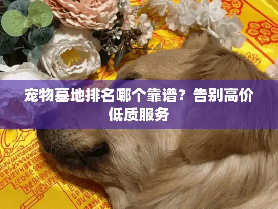 宠物墓地排名哪个靠谱？告别高价低质服务