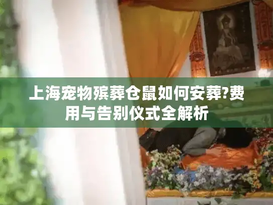 上海宠物殡葬仓鼠如何安葬?费用与告别仪式全解析