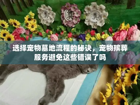 选择宠物墓地流程的秘诀，宠物殡葬服务避免这些错误了吗