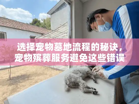 选择宠物墓地流程的秘诀，宠物殡葬服务避免这些错误了吗