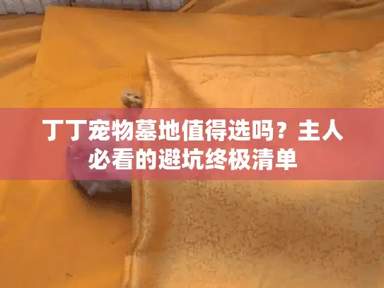 丁丁宠物墓地值得选吗？主人必看的避坑终极清单