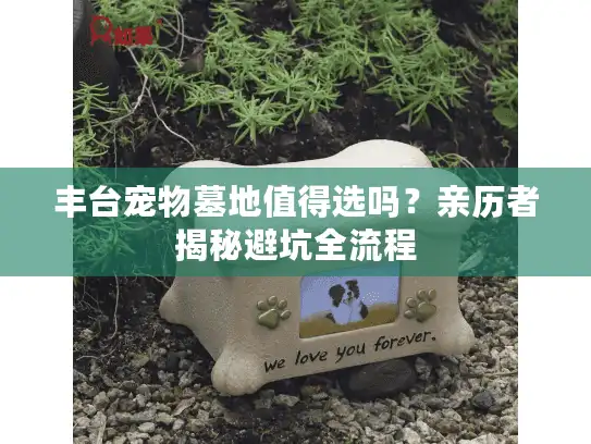 丰台宠物墓地值得选吗？亲历者揭秘避坑全流程
