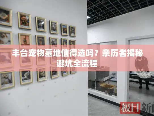 丰台宠物墓地值得选吗？亲历者揭秘避坑全流程