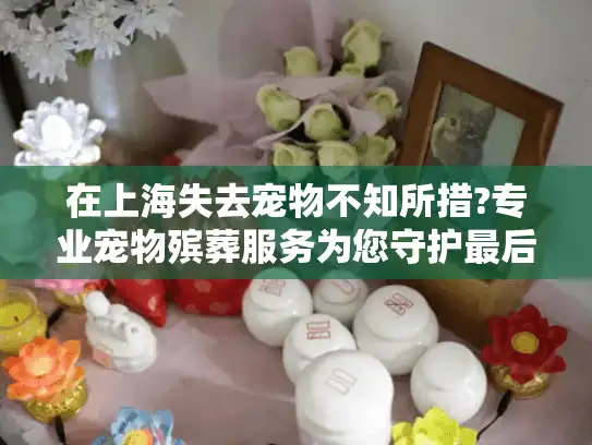 在上海失去宠物不知所措?专业宠物殡葬服务为您守护最后告别