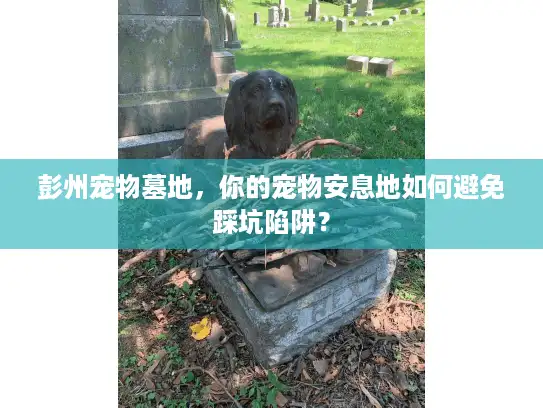 彭州宠物墓地，你的宠物安息地如何避免踩坑陷阱？
