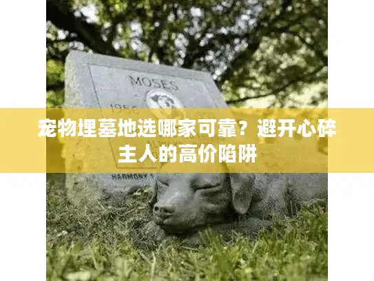 宠物埋墓地选哪家可靠？避开心碎主人的高价陷阱