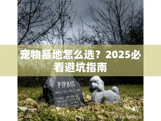 宠物墓地怎么选？2025必看避坑指南