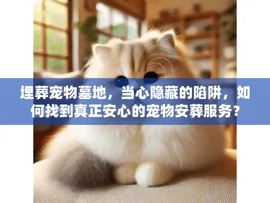埋葬宠物墓地，当心隐藏的陷阱，如何找到真正安心的宠物安葬服务？