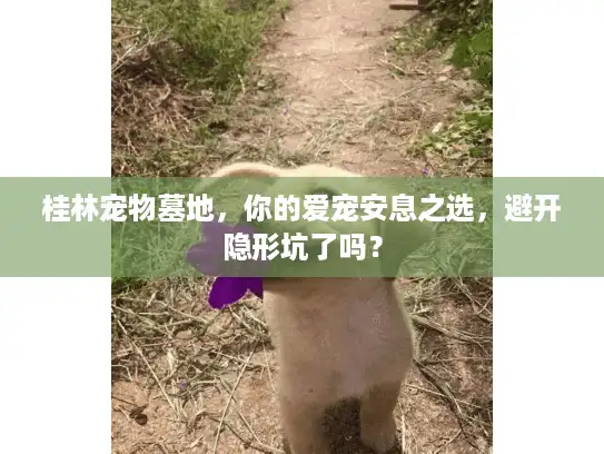 桂林宠物墓地，你的爱宠安息之选，避开隐形坑了吗？
