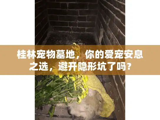 桂林宠物墓地，你的爱宠安息之选，避开隐形坑了吗？