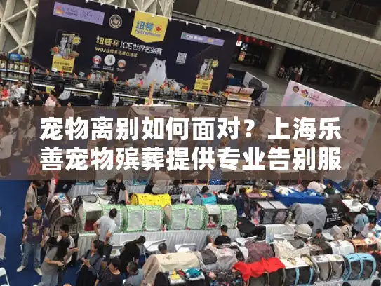 宠物离别如何面对？上海乐善宠物殡葬提供专业告别服务
