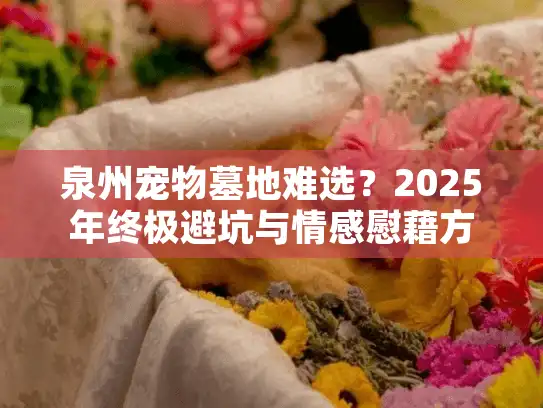 泉州宠物墓地难选？2025年终极避坑与情感慰藉方案