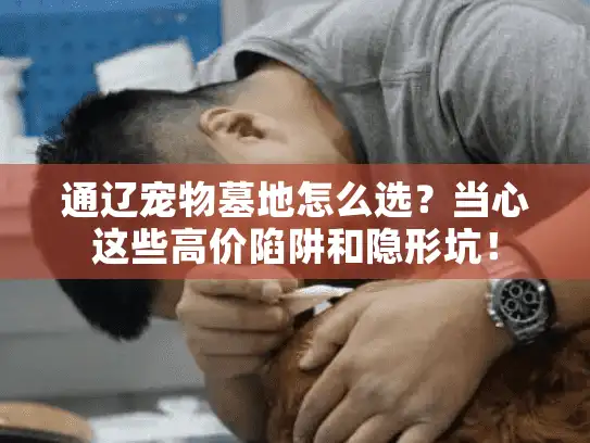 通辽宠物墓地怎么选？当心这些高价陷阱和隐形坑！