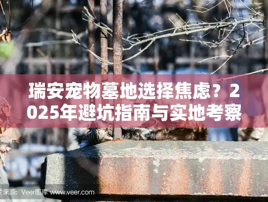 瑞安宠物墓地选择焦虑？2025年避坑指南与实地考察清单