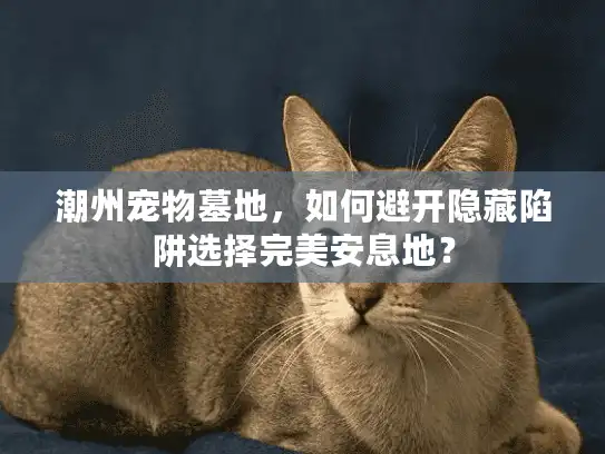 潮州宠物墓地，如何避开隐藏陷阱选择完美安息地？