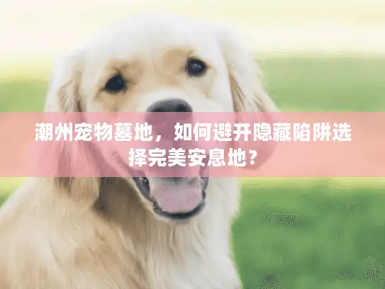 潮州宠物墓地，如何避开隐藏陷阱选择完美安息地？