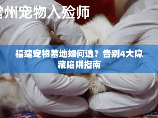 福建宠物墓地如何选？告别4大隐藏陷阱指南