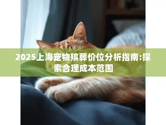 2025上海宠物殡葬价位分析指南:探索合理成本范围